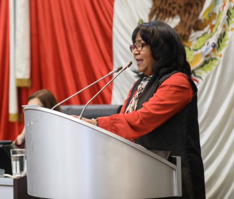 PRESENTA-INICIATIVA-DIPUTADA