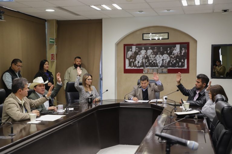 DESIGNAN-NUEVO-1