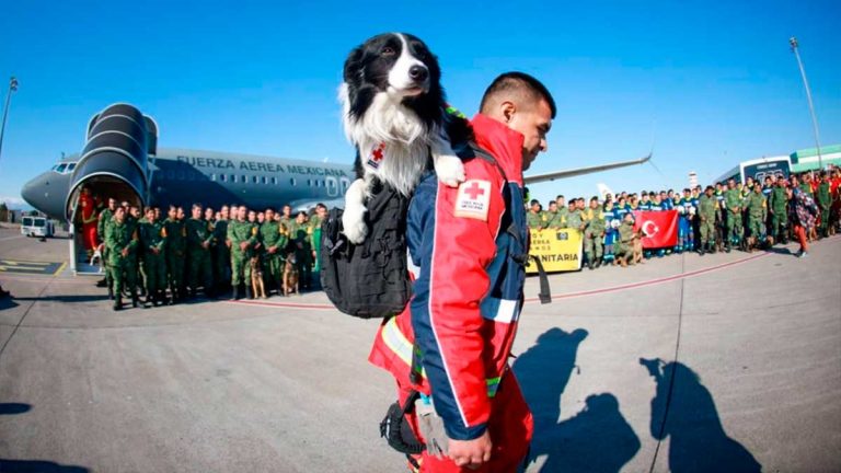 fuerza-aerea-mexico-turquia-080100