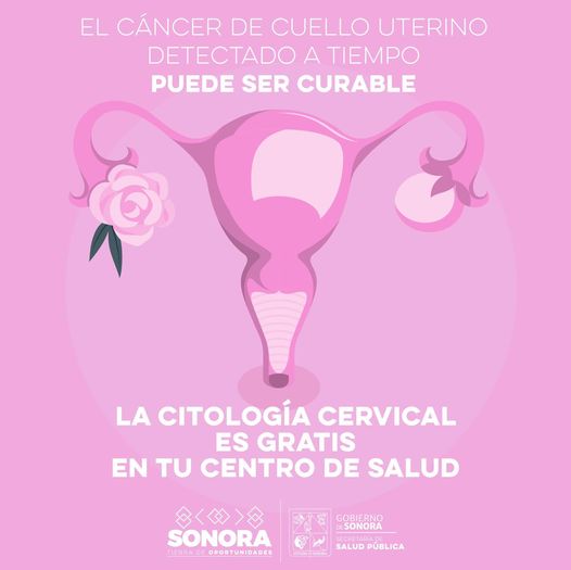 PRUEBA