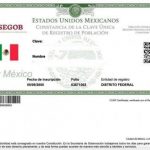 curp-certificada-paso-paso-para-tramitarla