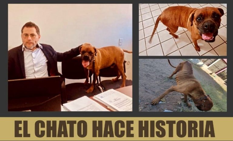 CHATO