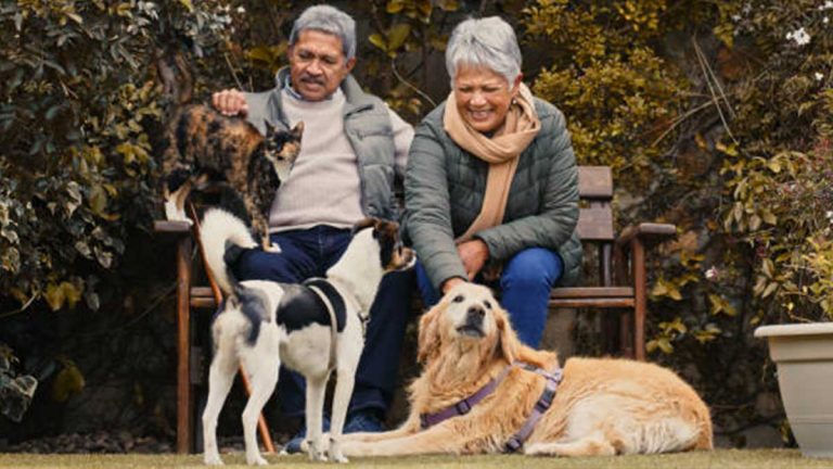 convivencia-de-gatos-y-perros-con-adultos-mayores-jpg-125801