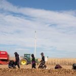 Agricultura-regenerativa_MG_4611-640x360-1