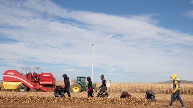 Agricultura-regenerativa_MG_4611-640x360-1