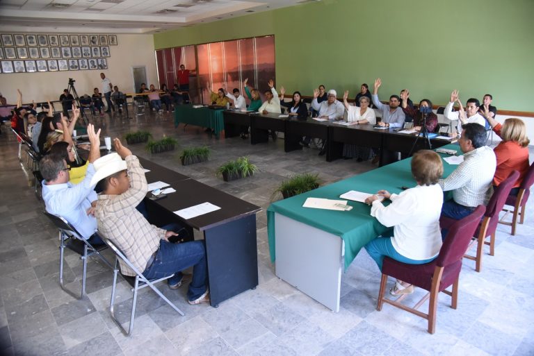 CONTRIBUYE-CABILDO-A-DAR-CARACTER