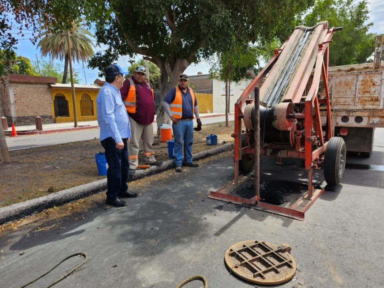 SUPERVISA-LAMARQUE-CANO-1