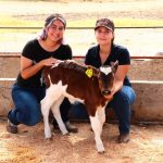 DIA-DEL-MEDICO-VETERINARIO-2