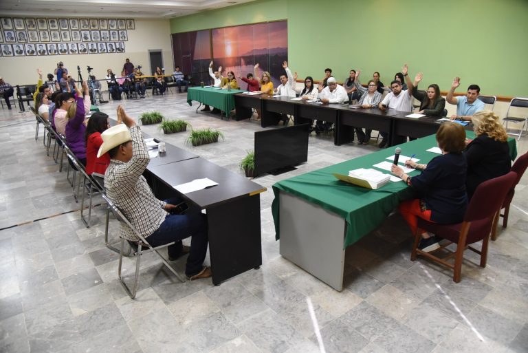 APRUEBA-CABILDO