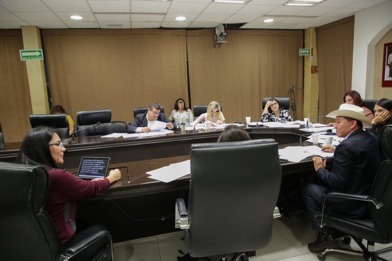 Comparecen-ante-diputadas1