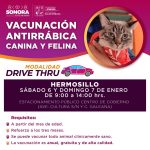 vacunacion-antirrabica