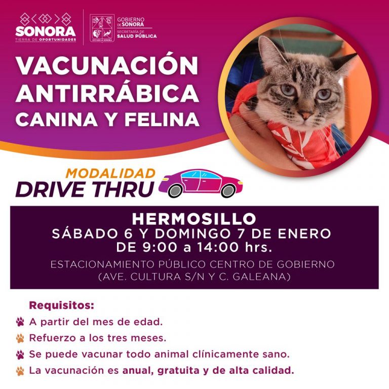 vacunacion-antirrabica