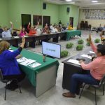 APRUEBA-CABILDO-BASES-P1