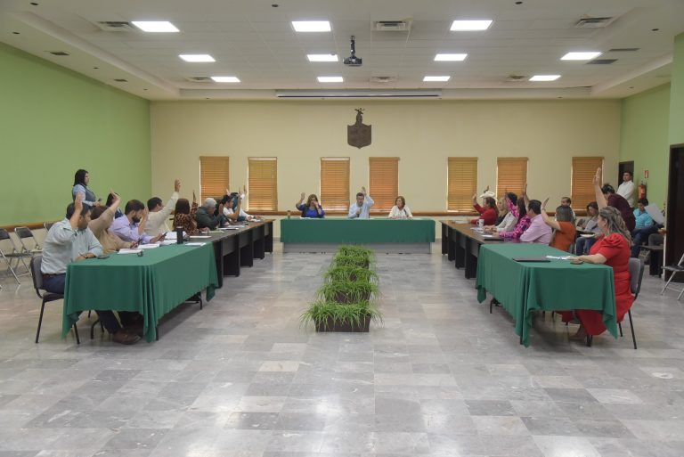 APRUEBA CABILDO