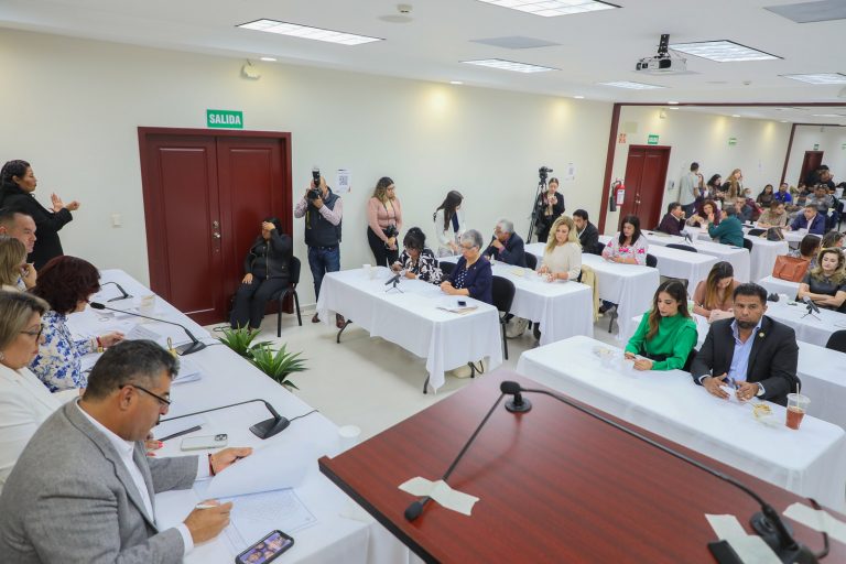 MODIFICA CONGRESO (2)