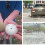 coahuila-nieve-granizo