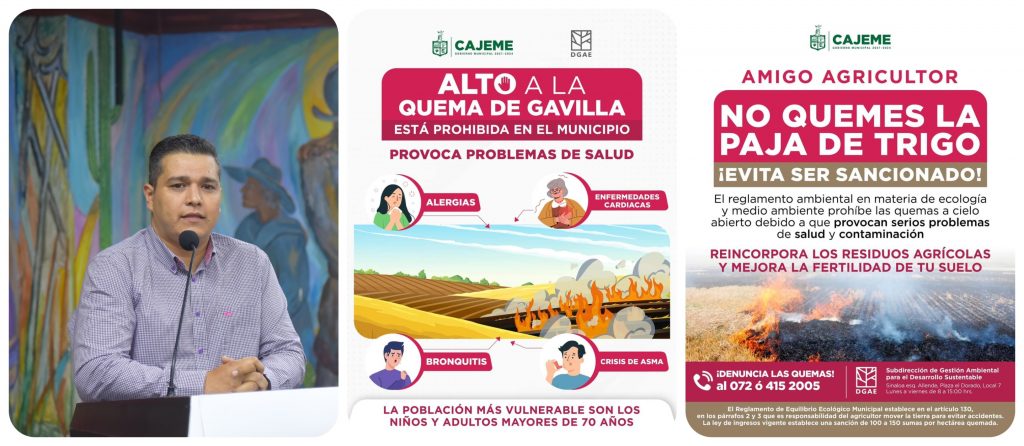 quema-de-gavilla-1024x446.jpg