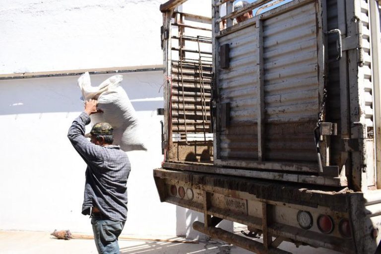Inicia entrega de alimento2