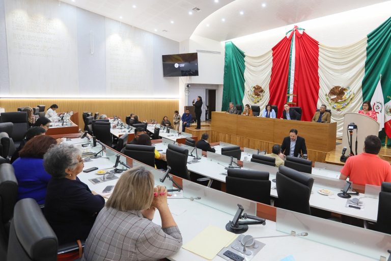 PROPONEN EN CONGRESO