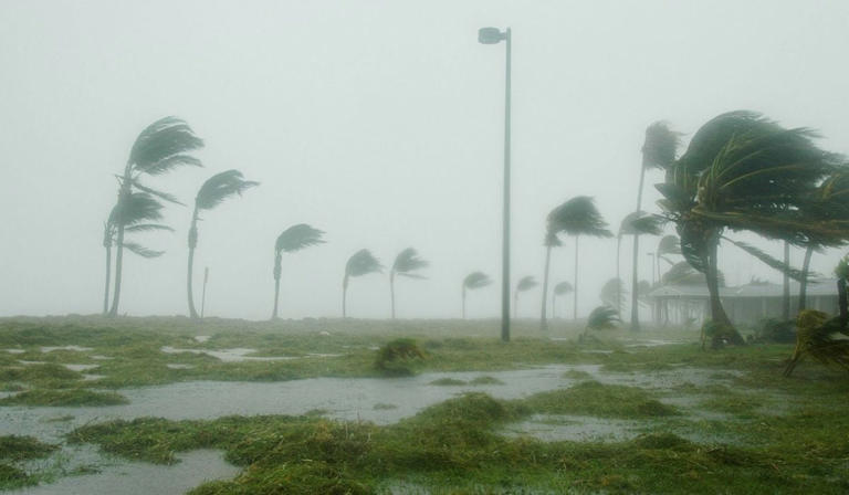 clima2