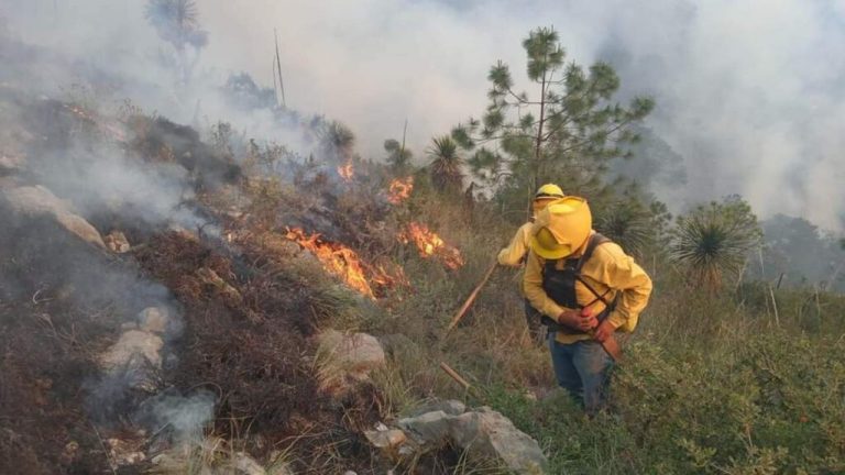 en-puebla-incendios-en-acatzingo-coyomeapan