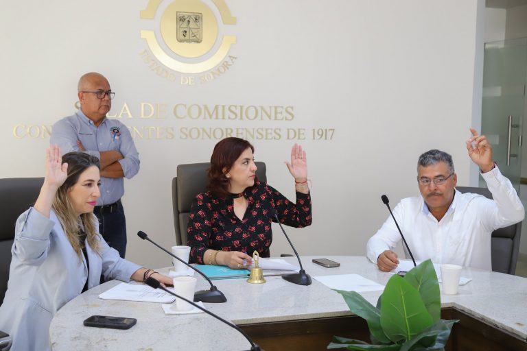CELEBRA SESIÓN ORDINARIA (2)