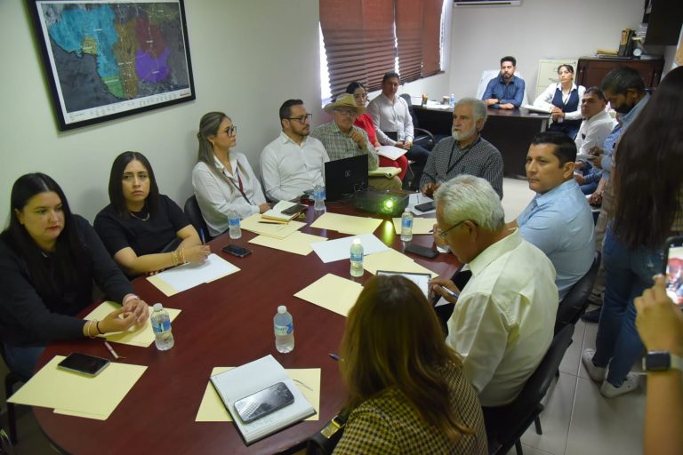 DELINEAN ESTRATEGIAS PARA
