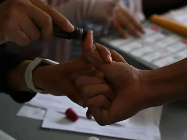 Elecciones 2024