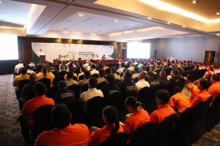 Realizan Reunión Estatal de Protección 2