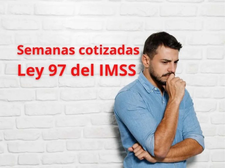 ley 97