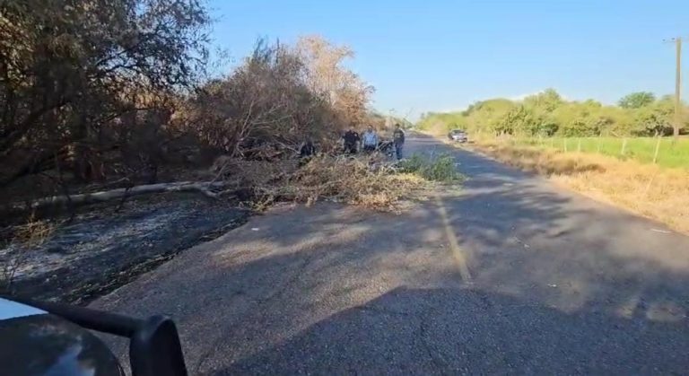 AYUDAN POLICÍAS MUNICIPALES (1)