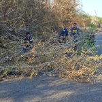 AYUDAN POLICÍAS MUNICIPALES (3)