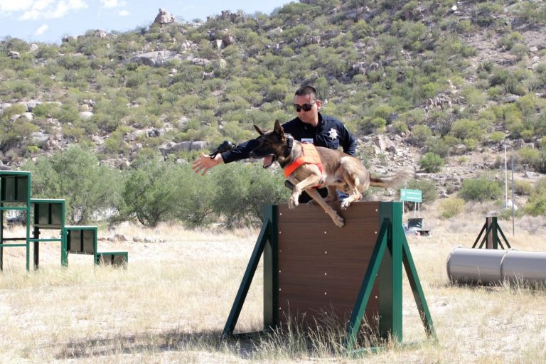 CONTRIBUYE UNIDAD K9 (3)