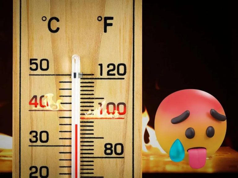 CRISIS CLIMÁTICA