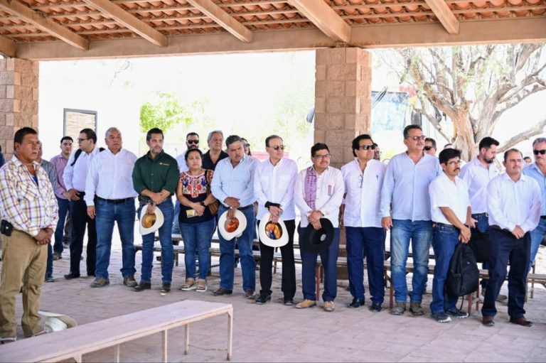 REFRENDA GOBERNADOR 2