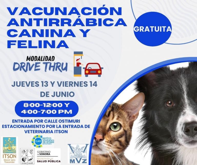 WhatsApp Image 2024-06-13 at 10.14.08 AM