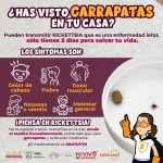 SALUD SONORA 1