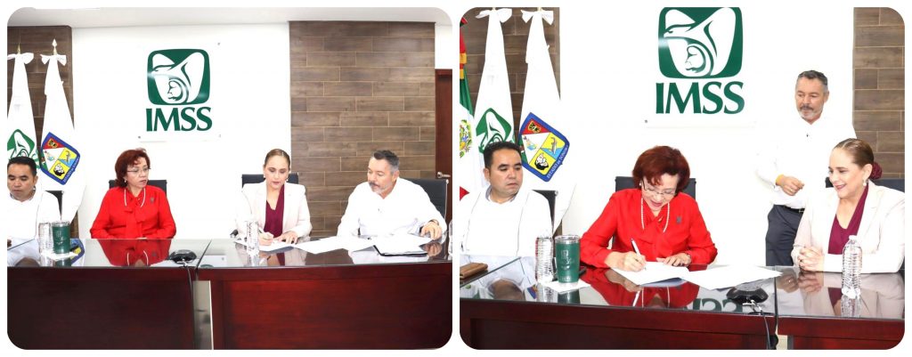 imss-1024x401.jpg