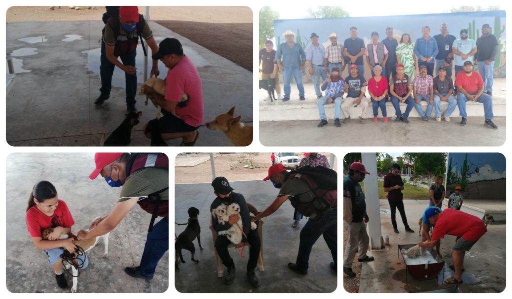 vacunacion-1024x599.jpg