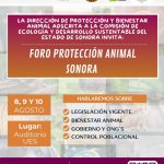 ANUNCIA EL GOBIERNO