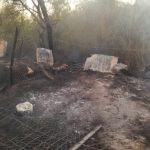 INCENDIO (2)