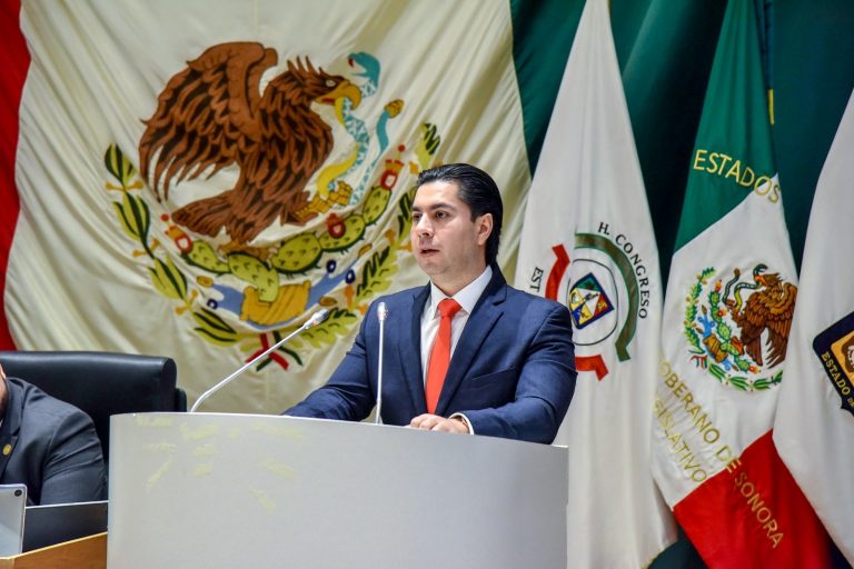 DIPUTADOS DEL PRI