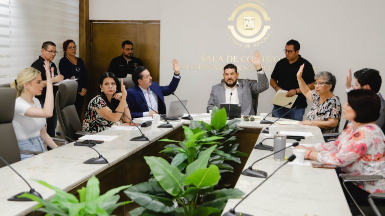 EN COMISIÓN