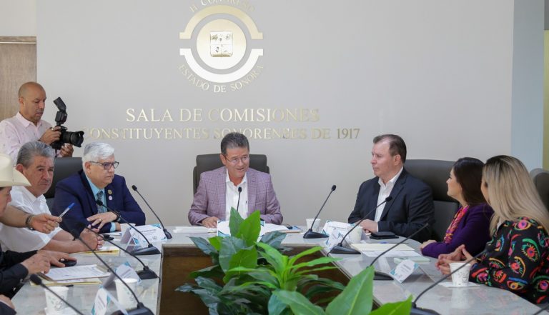 INSTALAN COMISIONES 2
