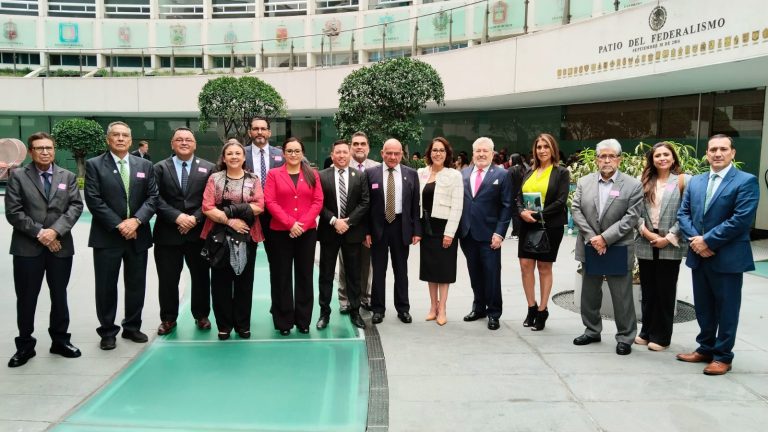 Propone la diputada Iris