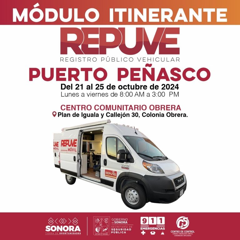 Repuve 2