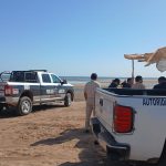 pescadores1