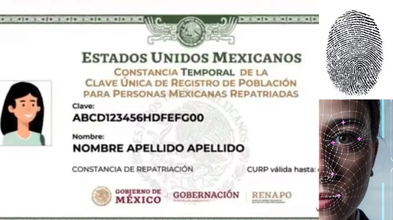 curp