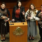 reforma-constitucional-que-prohibe-el-maltrato-d