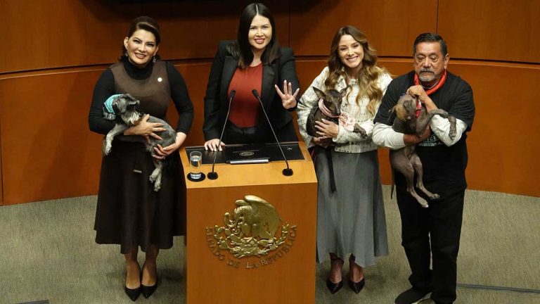 reforma-constitucional-que-prohibe-el-maltrato-d